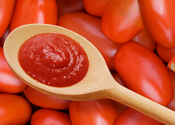 Boiler Retube Tomato Processing