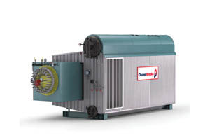 D-Type Steam Boiler