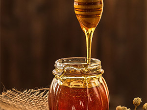 honey-processing-controls-upgrade