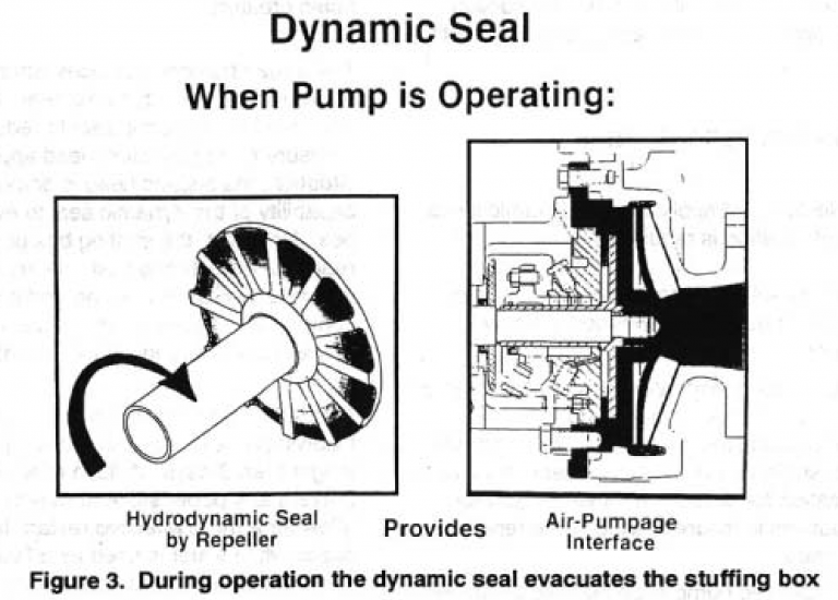 Hydrodynamic Seals in the Pulp & Paper Industry R.F. MacDonald Co.