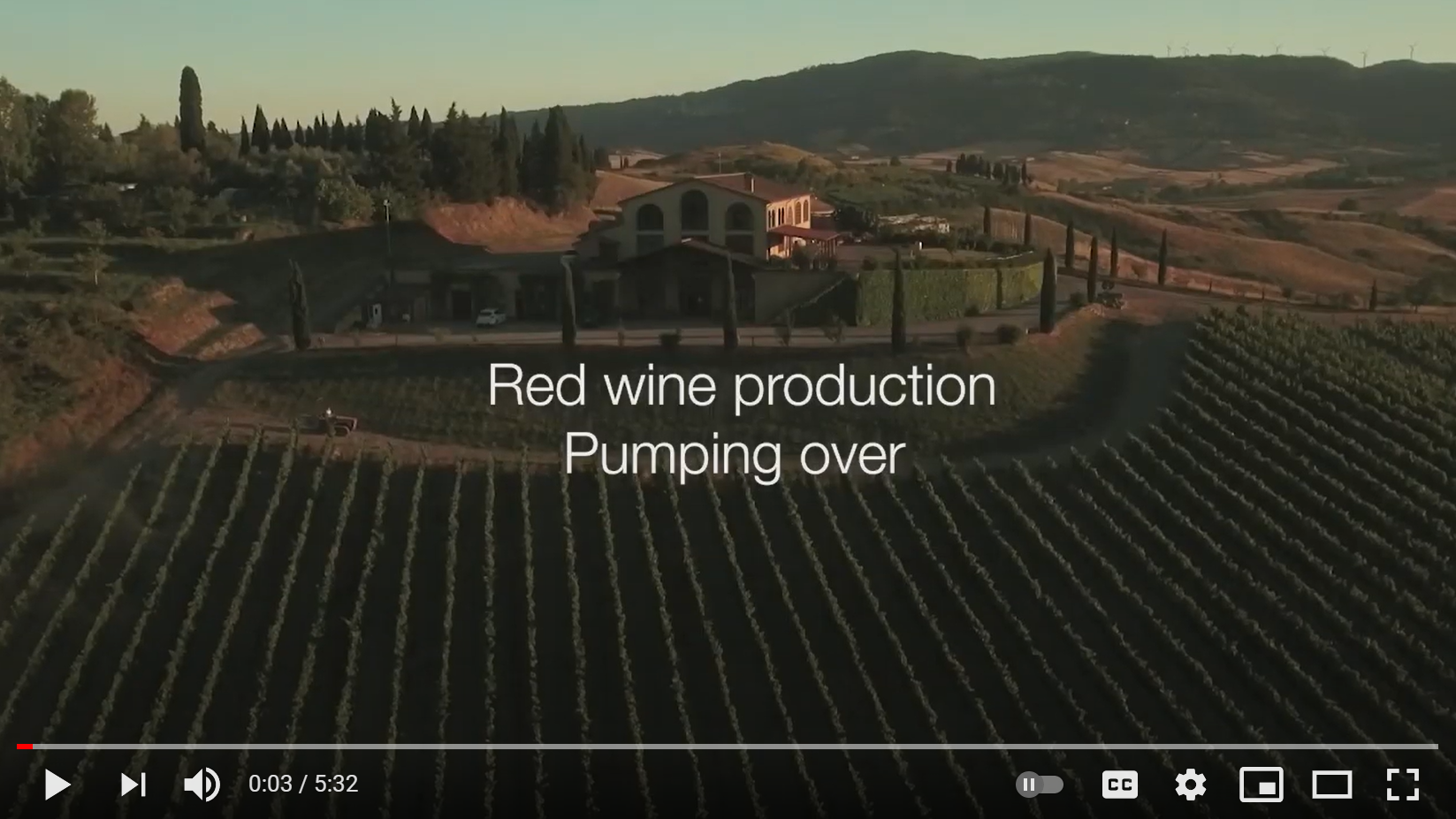 Inoxpa Pumps Are Ideal for Pump Overs in the Wine Market